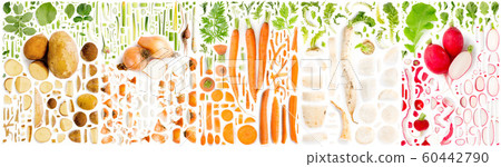 Root Vegetable Slice and Leaf Collection Root Vegetable Slice and Leaf Collection 60442790