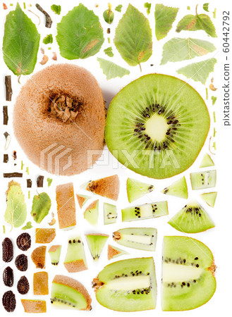 Kiwi Collection Abstract 60442792