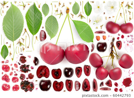 Cherry Collection Abstract Cherry Collection Abstract 60442793