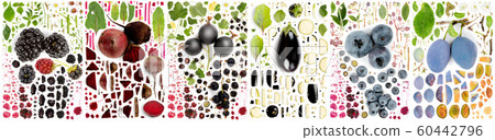 Blue and Black Fruit and Vegetable Slice and Leaf 60442796