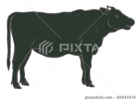 Illustration of a black cow 60443074