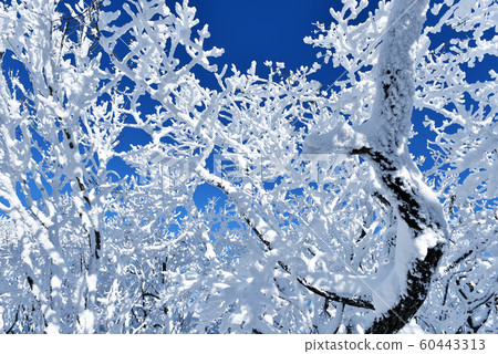 Deogyusan's Eye and the Ancient Ancient 60443313