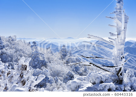 Deogyusan's Eye and the Ancient Ancient 60443316