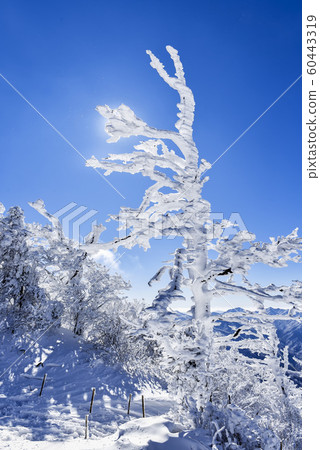 Deogyusan's Eye and the Ancient Ancient 60443319