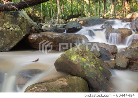 forest.It flows from the rainforest mountain in forest.It flows from the rainforest mountain in 60444484