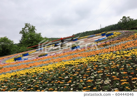 十勝高岡公園和花樂 音更 照片素材 圖片 圖庫