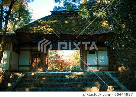 Hozenin的秋天2019 60444957