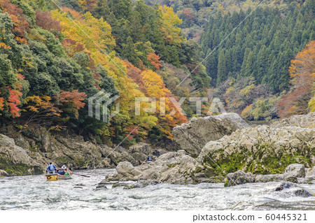 Downhill of the Hozu River in autumn Downhill of the Hozu River in autumn 60445321