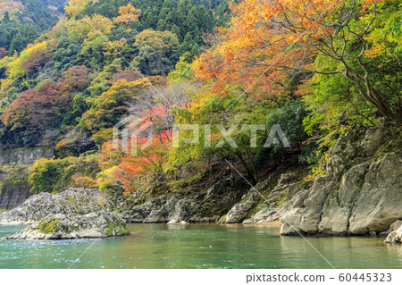 Downhill of the Hozu River in autumn Downhill of the Hozu River in autumn 60445323