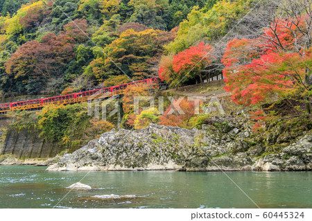Downhill of the Hozu River in autumn Downhill of the Hozu River in autumn 60445324