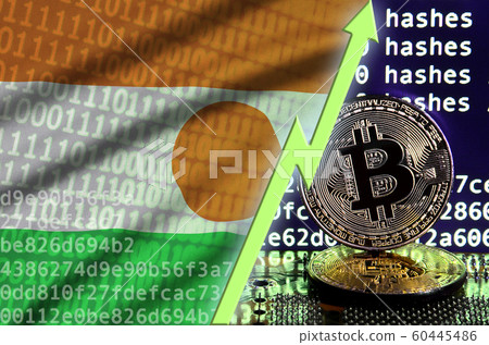 Niger flag and rising green arrow on bitcoin 60445486