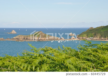 The Brittany coast 60445729