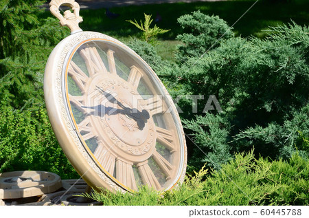 Street clock in a park under branches of trees Street clock in a park under branches of trees 60445788