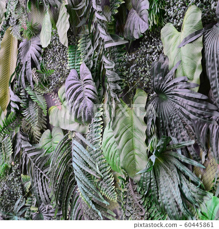 Tropical green leaves background, fern, palm and Tropical green leaves background, fern, palm and 60445861