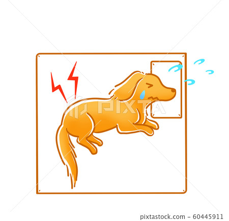 Hospitalized dog Hospitalized dog 60445911