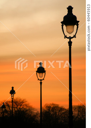 Paris streetlight in Tuileries park at dusk, winter Paris streetlight in Tuileries park at dusk, winter 60445913