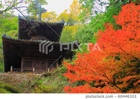 [香川縣]四國公墓71號帳房“屋屋”太浩塔和黃葉 60446101
