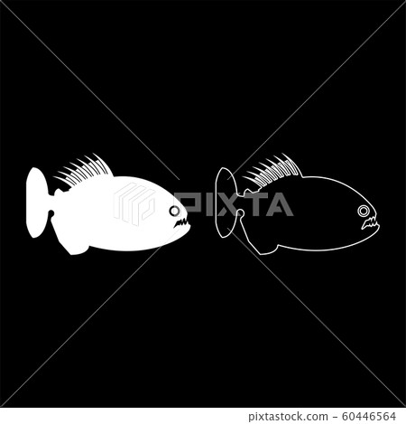 Piranha angry fish icon outline set white color Piranha angry fish icon outline set white color 60446564