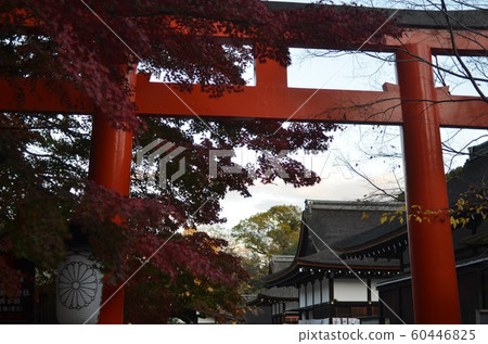 Torii of Shimogamo Shrine Torii of Shimogamo Shrine 60446825