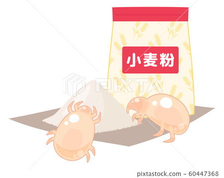 Illustration of a mite _ flour 60447368