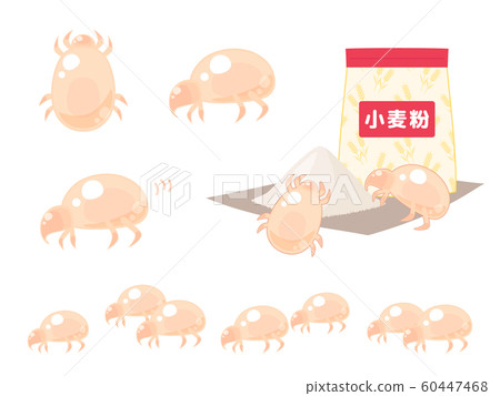 蟎類蟎蟲的插圖 蟎類蟎蟲的插圖 60447468