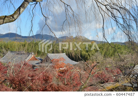 上面的天龍寺 上面的天龍寺 60447487