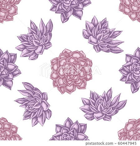Seamless pattern with hand drawn pastel succulent echeveria, succulent echeveria, succulent Seamless pattern with hand drawn pastel succulent echeveria, succulent echeveria, succulent 60447945