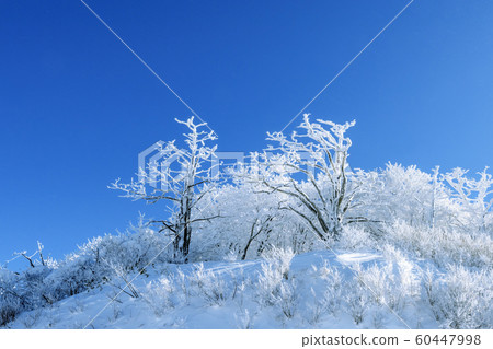 Deogyusan's Eye and the Ancient Ancient 60447998