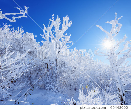 Deogyusan's Eye and the Ancient Ancient 60448000