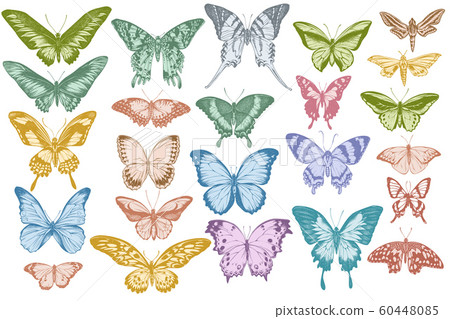 Vector set of hand drawn pastel papilio ulysses, morpho menelaus, graphium androcles, morpho rhetenor cacica, papilio demoleus, cethosia biblis, papilio antimachus, alcides agathyrsus, ornithoptera 60448085