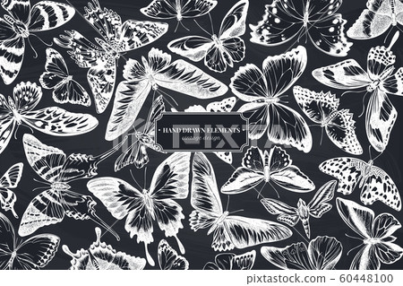 Monochrome design with chalk papilio ulysses, morpho menelaus, graphium androcles, morpho rhetenor cacica, papilio demoleus, cethosia biblis, papilio antimachus, alcides agathyrsus, ornithoptera 60448100