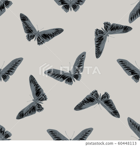Seamless pattern with hand drawn stylized trogonoptera brookiana 60448113
