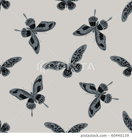 Seamless pattern with hand drawn stylized papilio antimachus, papilio torquatus 60448139