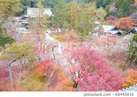 Fall of Kyoto Nanzenji Fall of Kyoto Nanzenji 60448816