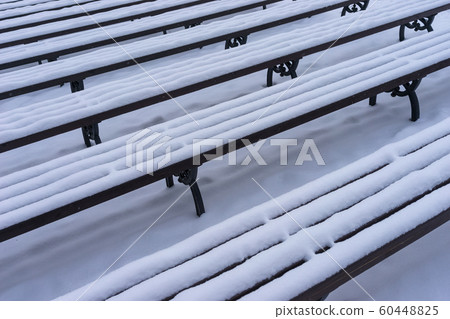 Benches with snow in a city park 60448825