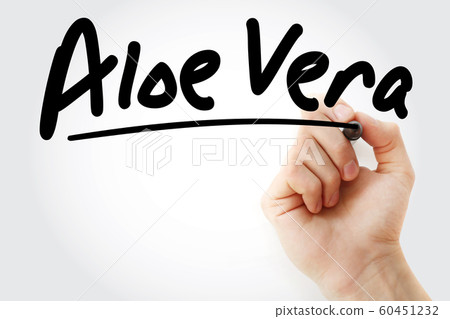 Hand writing Aloe vera with marker 60451232