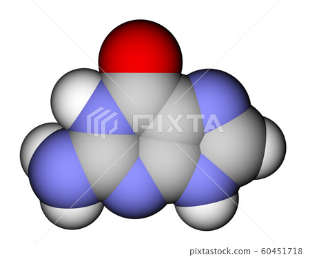 Nucleobase guanine space-filling molecular model Nucleobase guanine space-filling molecular model 60451718