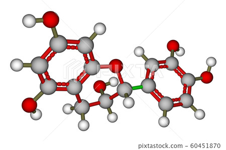 Epicatechin molecular model 60451870