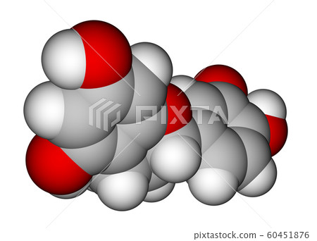 Epicatechin space-filling molecular model 60451876