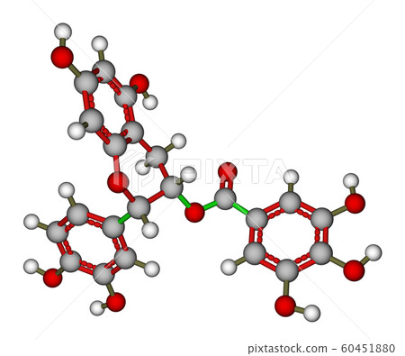 Epicatechin gallate molecular model Epicatechin gallate molecular model 60451880