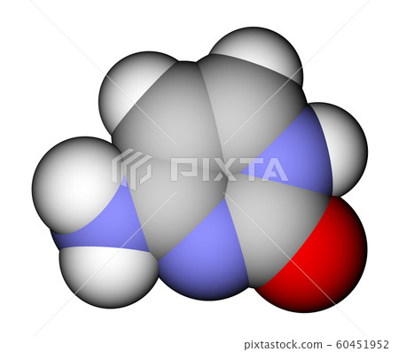 Nucleobase cytosine space-filling molecular model Nucleobase cytosine space-filling molecular model 60451952
