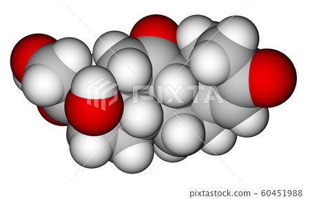 Cortisone space filling molecular model Cortisone space filling molecular model 60451988