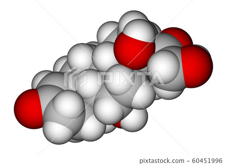Cortisol space-filling molecular model Cortisol space-filling molecular model 60451996