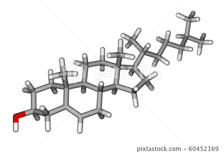 Cholesterol sticks molecular model 60452169