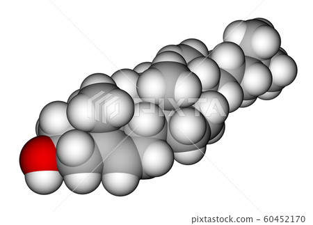 Cholesterol space filling model Cholesterol space filling model 60452170