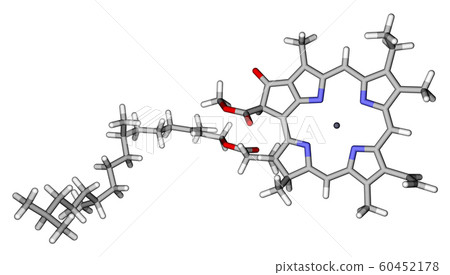 Chlorophyll A sticks molecular model Chlorophyll A sticks molecular model 60452178