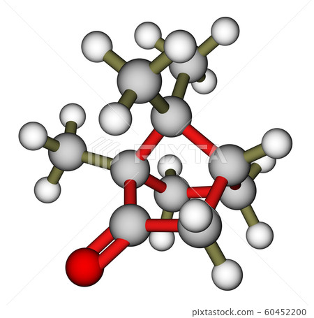 Camphor 3D molecular model 60452200