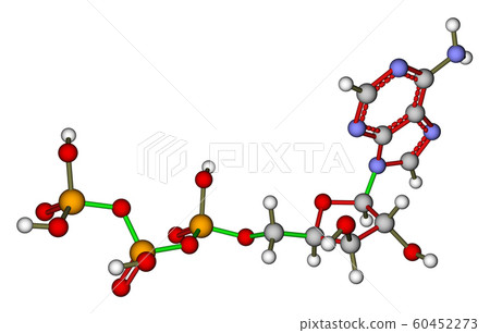 Adenosine triphosphate (ATP) molecular structure Adenosine triphosphate (ATP) molecular structure 60452273