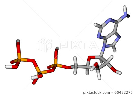 Adenosine triphosphate (ATP) sticks molecular model Adenosine triphosphate (ATP) sticks molecular model 60452275