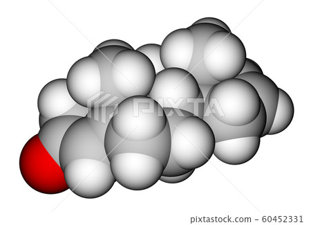 Androstadienone, a strong male-produced pheromone Androstadienone, a strong male-produced pheromone 60452331